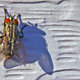 Illustration for article titled Shooting Challenge: Bugs Gallery (Part 4)